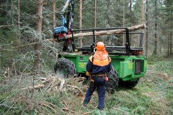 Practical and universal tree harvester to increase the possibilities of logging machines (photo: Administrator)