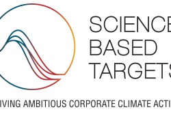 <p>AkzoNobel receives SBTi approval for carbon reduction target</p> 